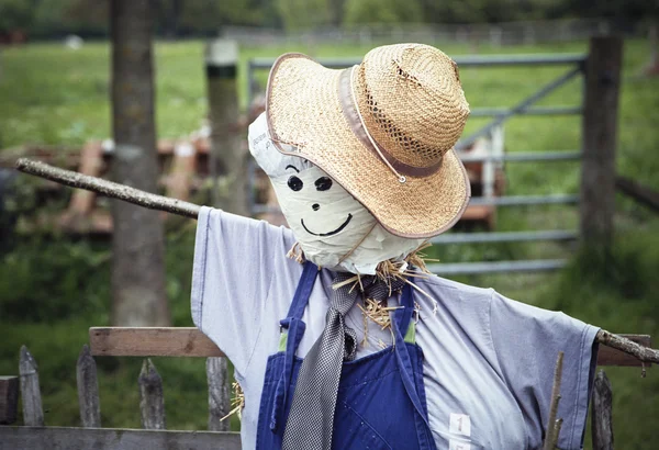Stylish scarecrow with tie and hat — Stock Photo, Image