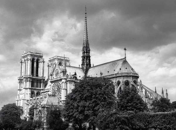 Notre dame de paris — Stock fotografie