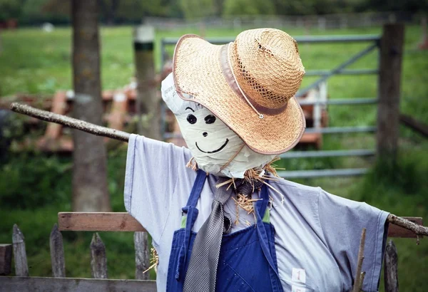 Scarecrow — Stock Photo, Image