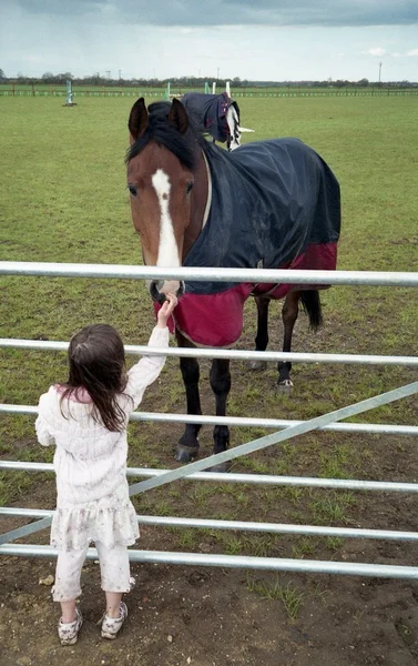 Young Children and Pony — Stock Photo, Image