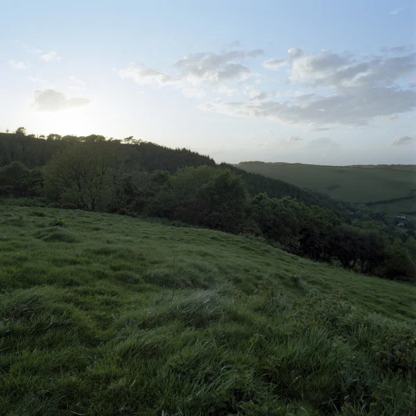 Smythen Farm, North Devon, 2011 — Stock Photo, Image