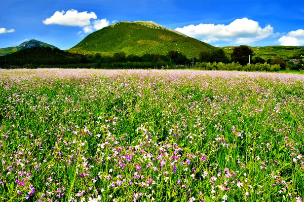 dağlık manzara
