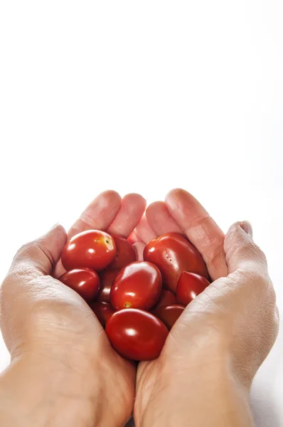 Tomate in der Hand — Stockfoto