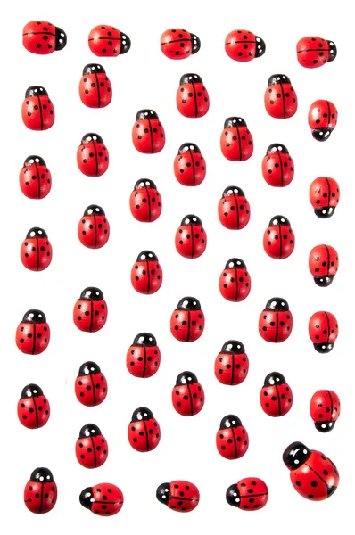 Ladybug frame Stock Picture