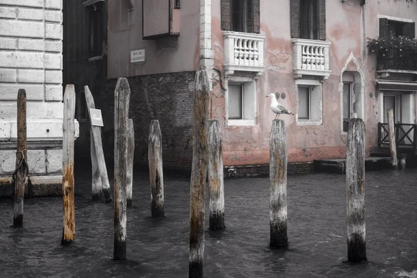 Impressions de Venise, Italie — Photo