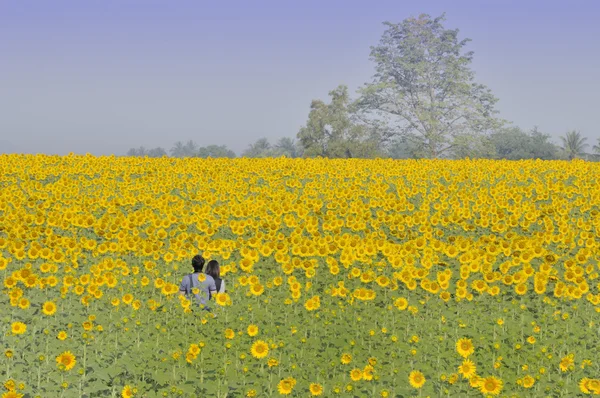 A couple in a flower field — Stock Photo, Image