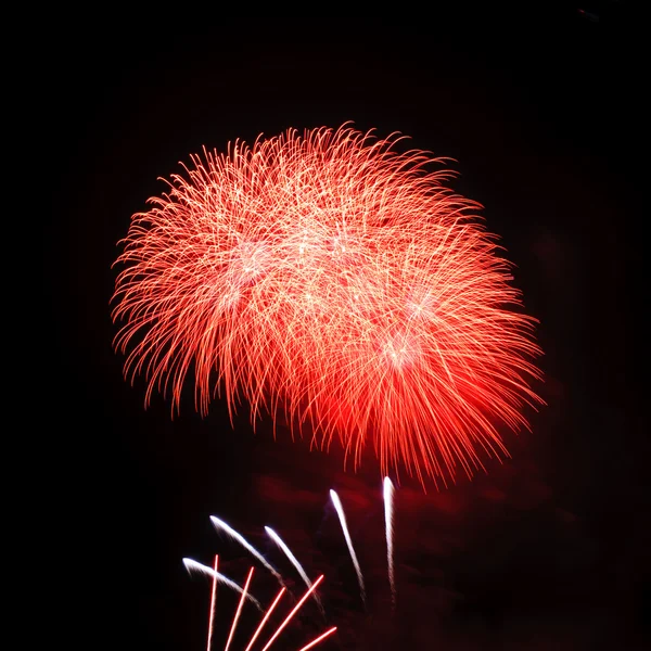 Fogos de artifício — Fotografia de Stock