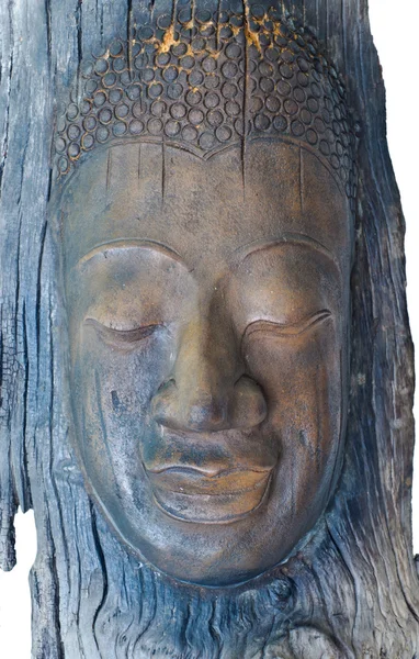 Ett ansikte som skulpterade från barken — Stockfoto