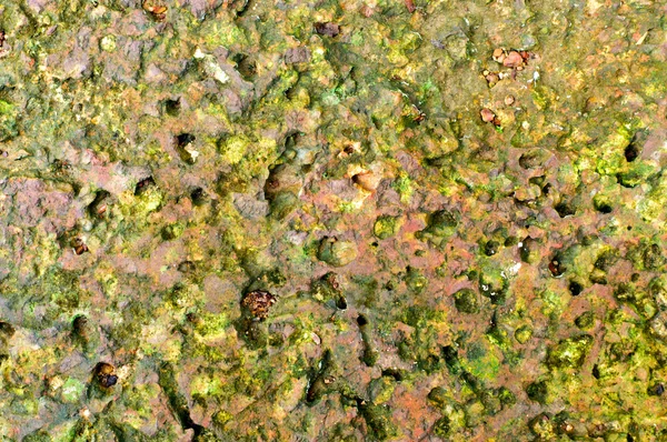 Una textura de baldosas de piedra — Foto de Stock