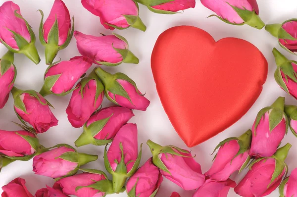Forma de corazón grande y rosas rosadas —  Fotos de Stock