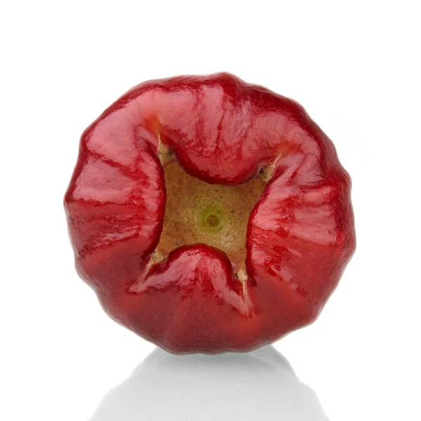 Bottom of red rose apple — Stock Photo, Image