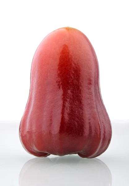 Een rode rose appel — Stockfoto