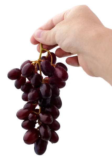 Bouquet de raisins rouges à la main isolé sur blanc — Photo