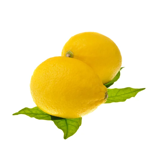 Zwei Zitronen auf grünem Blatt — Stockfoto