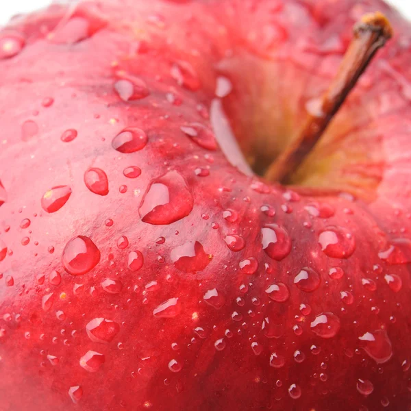 Macro shot of red apple — Stock Photo, Image