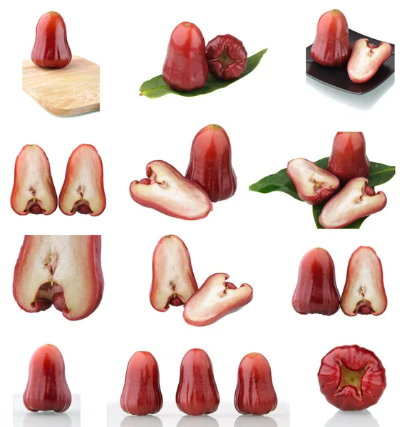 Collection of rose apples — Stock Photo, Image