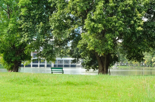 Bank im Park — Stockfoto