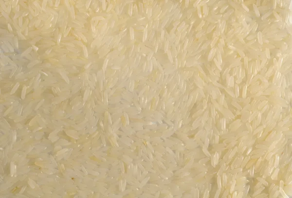 Jasmine rice — Stock Photo, Image