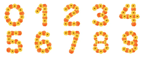 stock image Set of number created by daisy flowers.