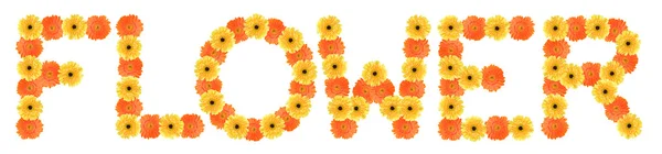 Flower word created by flower — Stock Photo, Image