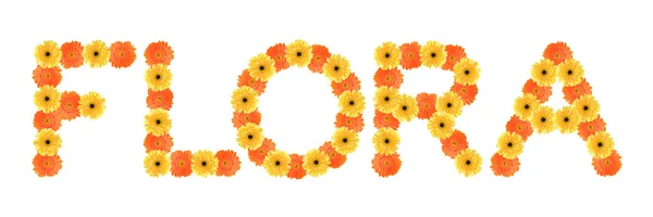 Flora słowo utworzone przez kwiaty daisy — Zdjęcie stockowe