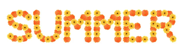 Palavra de verão criado por flores margarida — Fotografia de Stock