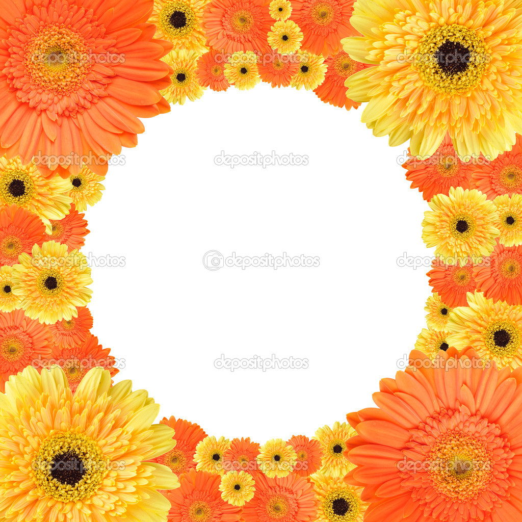 Orange and yellow daisy circular frame