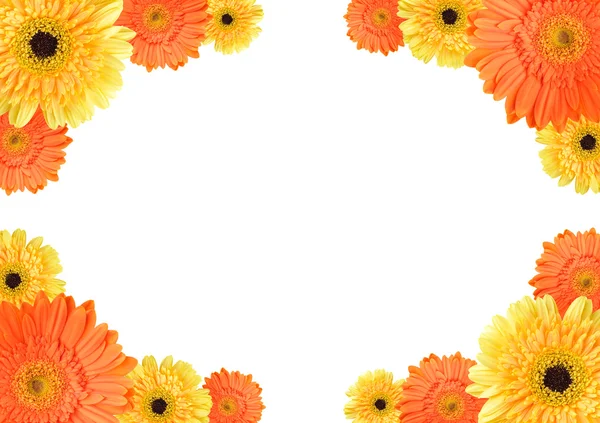Žluté a oranžové daisy rám — Stock fotografie