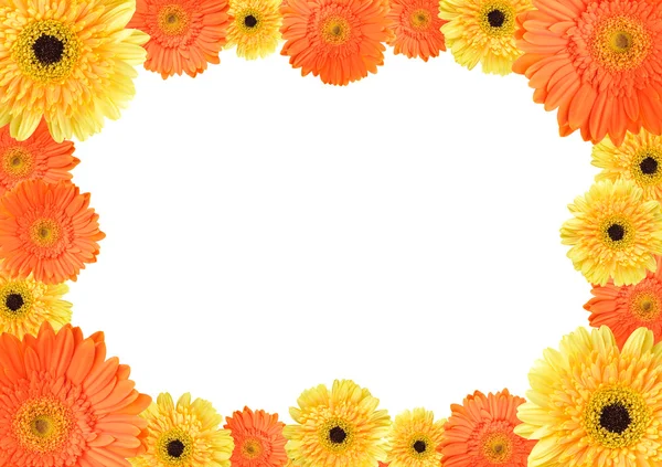 Gele en oranje daisy frame — Stockfoto