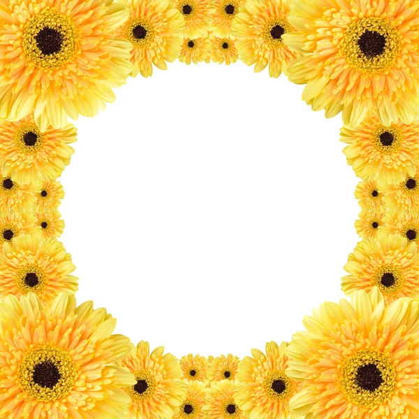 Κυκλικό πλαίσιο κίτρινη Μαργαρίτα — 图库照片