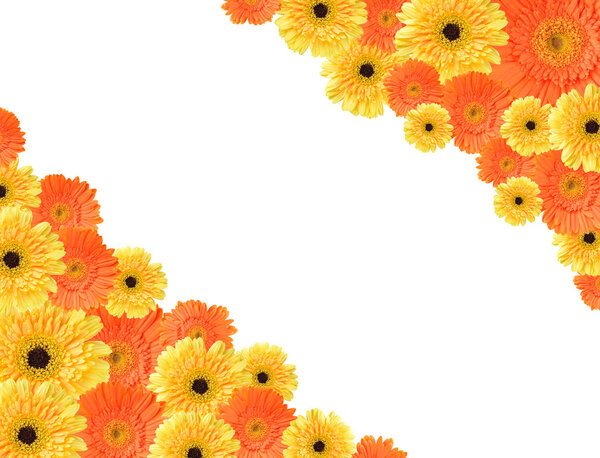 Yellow and orange daisy flower frame