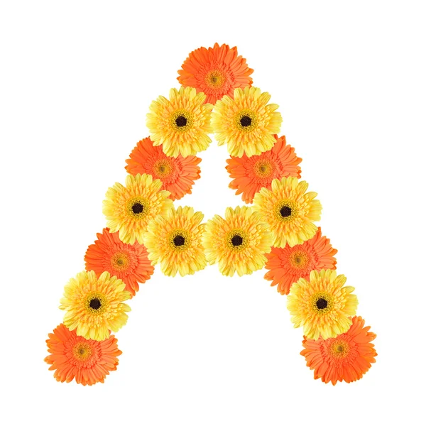 Alphabet A created by flower — Stock Photo, Image