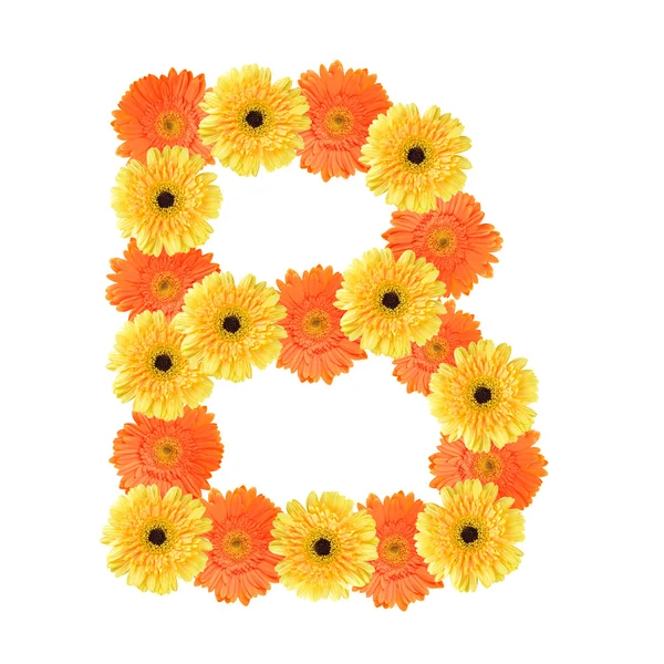 Alphabet B created by flower — Stock Photo, Image