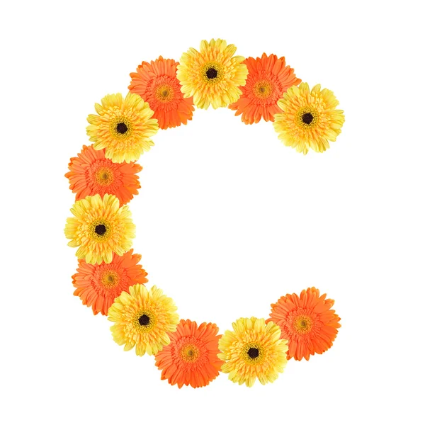 Alphabet C created by flower — Stock Photo, Image
