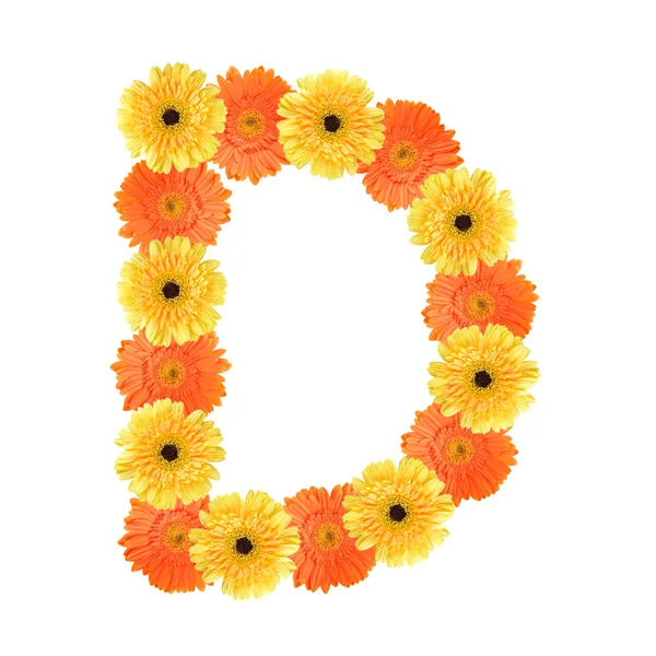 Alfabeto D criado por flor — Fotografia de Stock