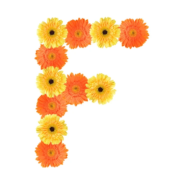 Alphabet F created by flower — Stock Photo, Image