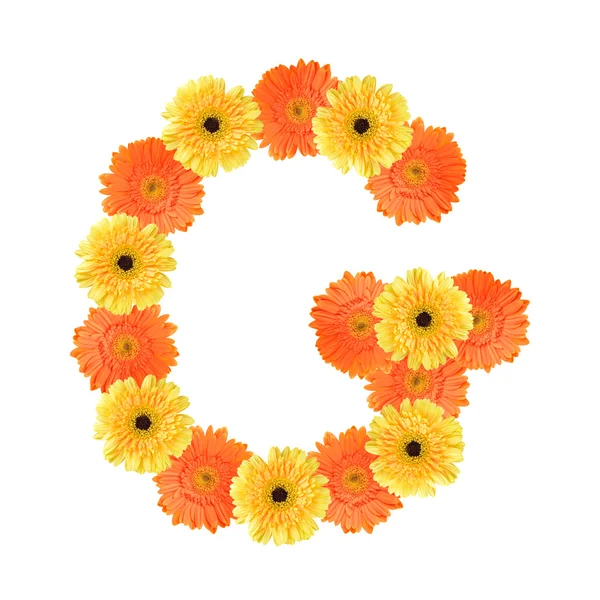 Alphabet G created by flower — Stock Photo, Image