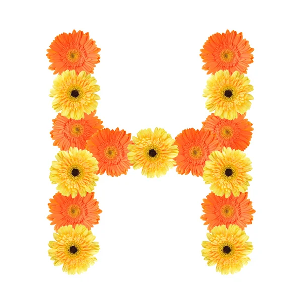 Alphabet H created by flower — Stock Photo, Image