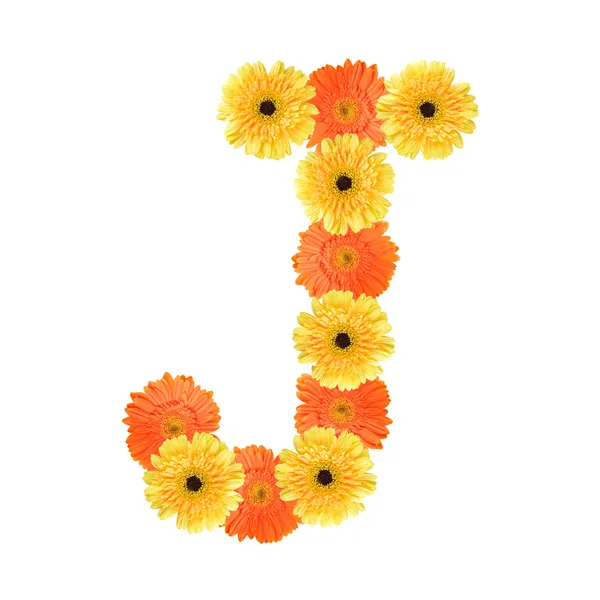 Alphabet J created by flower — Stock Photo, Image