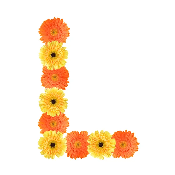 Алфавит L, созданный цветком — стоковое фото