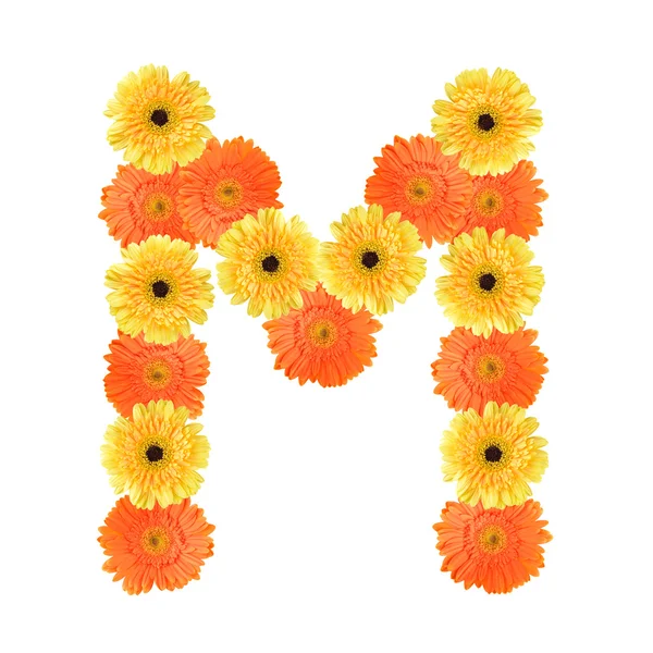 Alphabet M created by flower — Stock Photo, Image