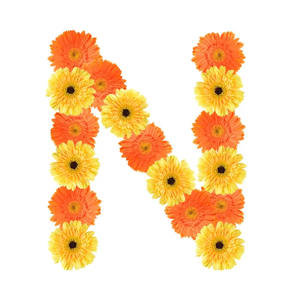 Alfabeto N criado por flor — Fotografia de Stock