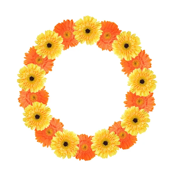 Алфавит О, созданный цветком — стоковое фото