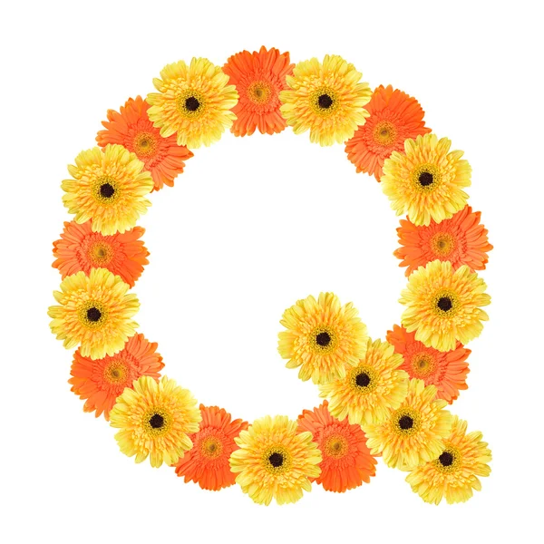 Alphabet Q created by flower — Stock Photo, Image