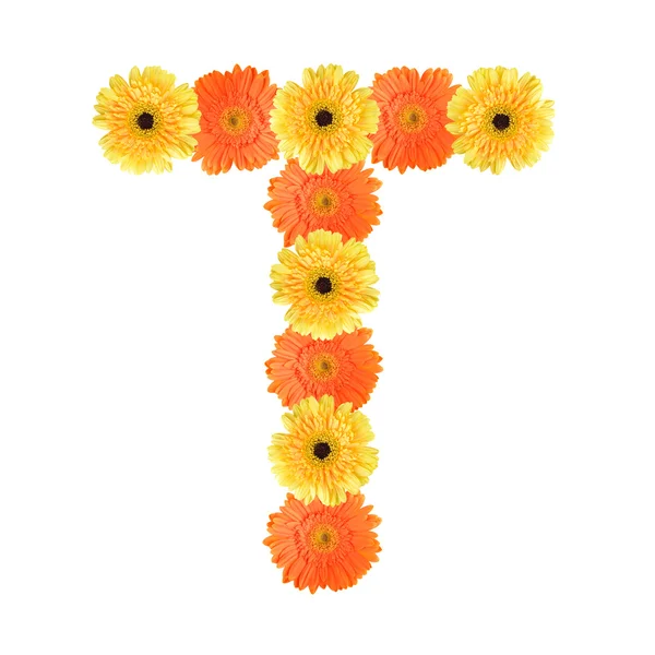 Alfabeto T criado por flor — Fotografia de Stock