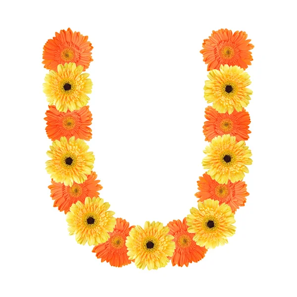 Alfabeto U creato dal fiore — Foto Stock
