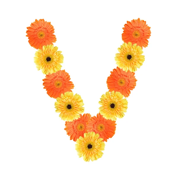Alphabet V created by flower — Stock Photo, Image