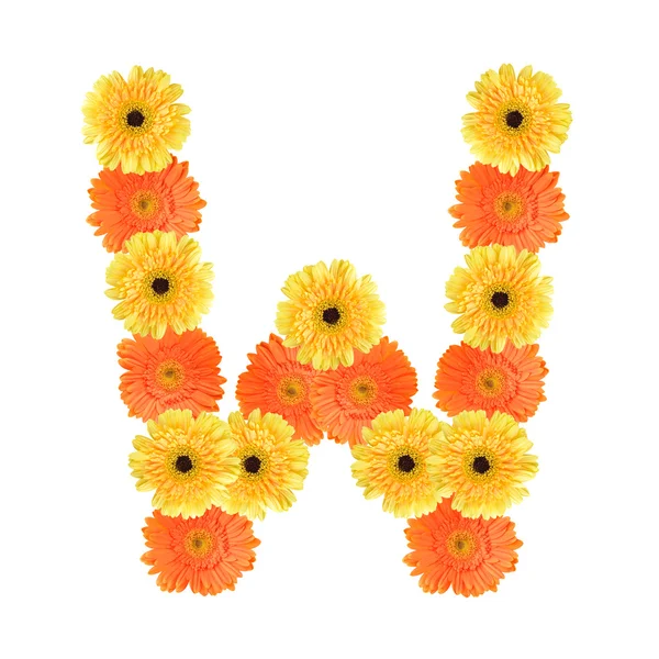 Alfabeto W criado por flor — Fotografia de Stock