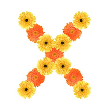 alfabe x çiçek tarafından oluşturulmuş