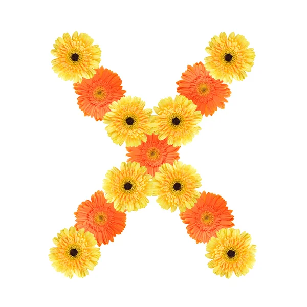 Alphabet X created by flower — Stock Photo, Image